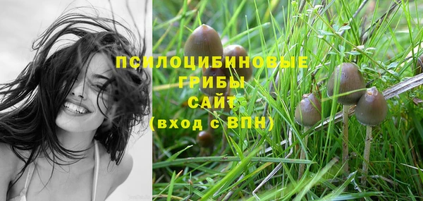 спиды Богданович