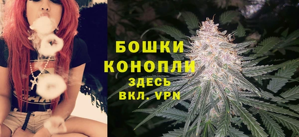 эйфоретик Бородино