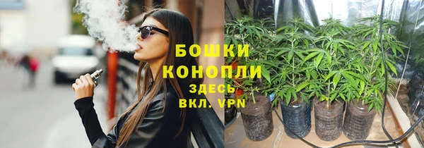 Альфа ПВП Бугульма